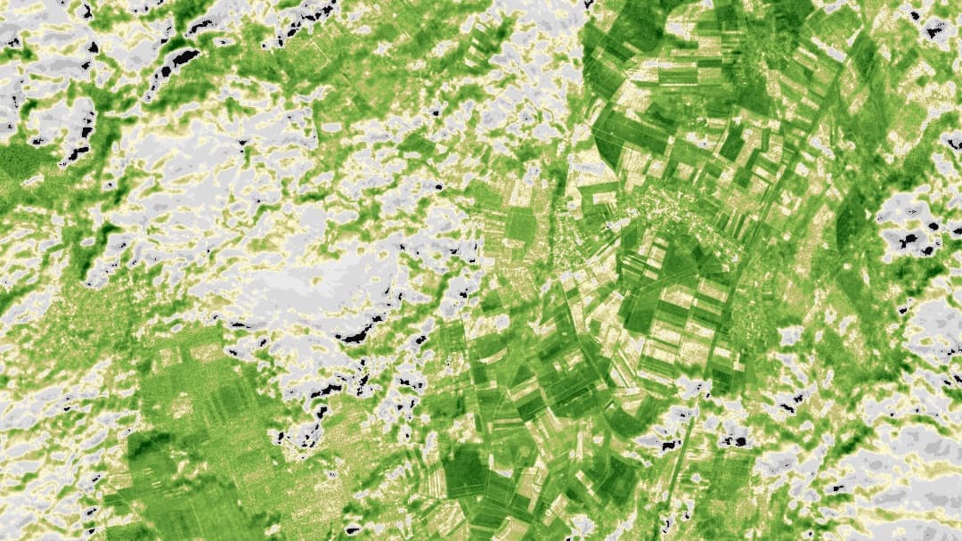 Adatközpontú vizualizáció, amely az NDVI-t emeli ki a növényesség értékeléséhez